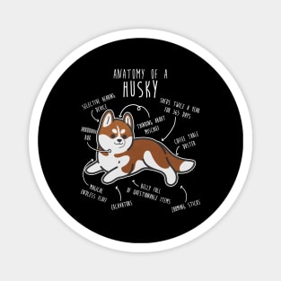 Red Siberian Husky Dog Anatomy Magnet